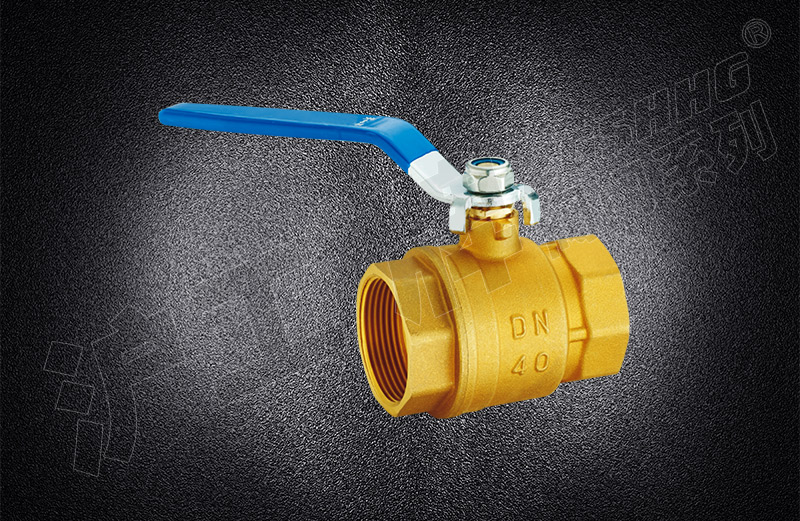 �z�����y